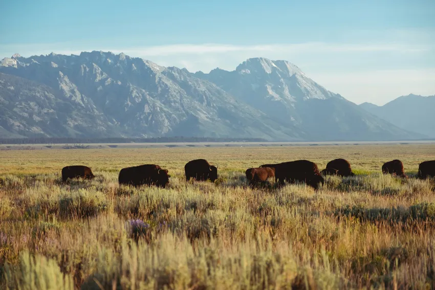 Jackson Hole, Wyoming