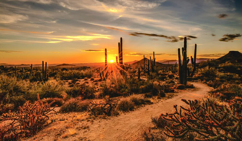 Scottsdale, Arizona