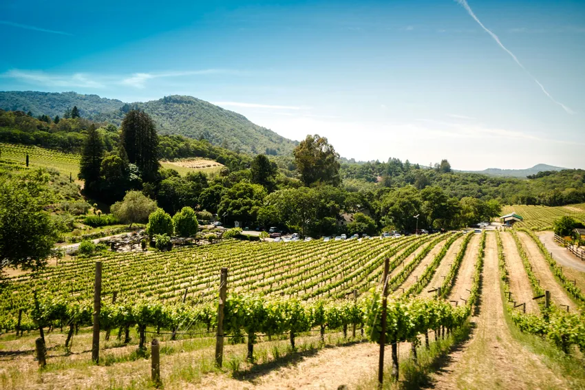 Sonoma County, California