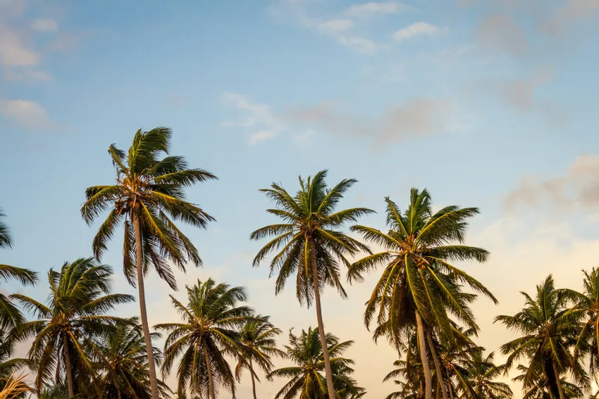West Palm Beach, Florida